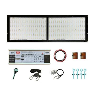 China Factory Grow Lighting 240W Preassembled V4 Samsung LM301B Deep Red 660nm IR UV Far Red 730nm 3000K 48V LED Grow Light Indoor Hydroponic System for sale