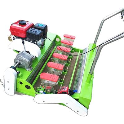 China Frams Precision Seeder Sesame Grain Gasoline Powered Manual Vegetable Seeder for sale