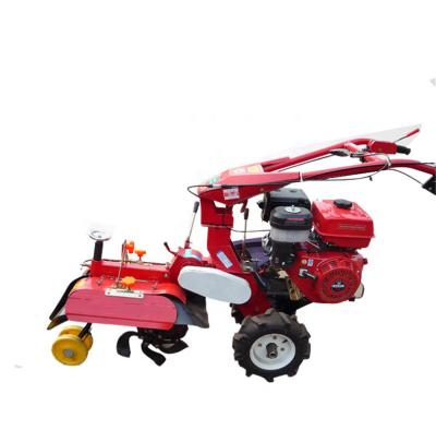 China Cultivate Mini Power Tiller Multi Functional Agricultural Machinery Small Pastoral Management Machine for sale