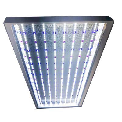 China Seed starting 2021 new commerical ETL DLC FCC CEdlc led to grow luminaire strip for sale