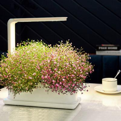 China Wholesale Mini Indoor Led Smart Herb Garden Light Creative Hydroponic Flower Indoor Kits Smart Plant Smart Planting Pot for sale