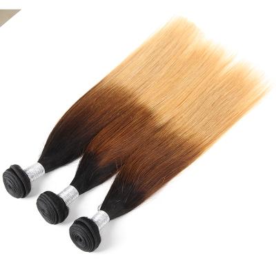 China 27 Tone Color Ombre 1B 4 Silky Straight Unprocessed Brazilian Hair Wave Three Wave Three Cuticle Aligned No Tangle No Shed Hair for sale