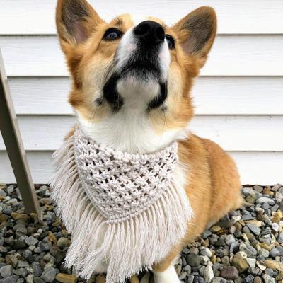 China Sustainable Macrame Dog Bandana China Supplier Macrame Dog Collar Wedding Pet Leash For Dogs for sale