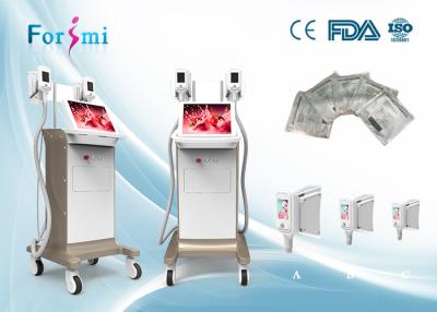 China Cryolipolysis reviews 3.5 inch handle scree Cryolipolysis Slimming Machine FMC-I Fat Freezing Machine for sale