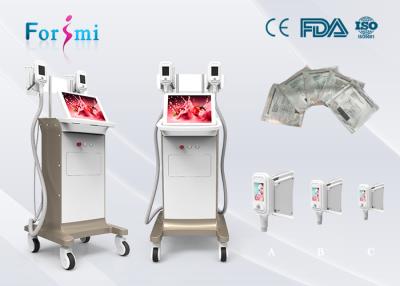 China body sculpting massage machine 3.5 inch Cryolipolysis Slimming Machine FMC-I Fat Freezing Machine for sale