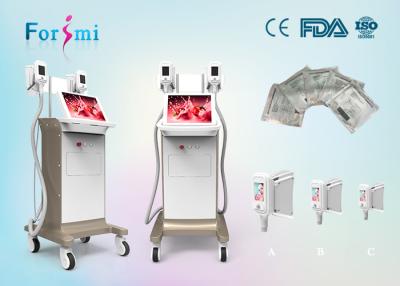 China portable cryotherapy equipment 3.5 inch Cryolipolysis Slimming Machine FMC-I Fat Freezing Machine for sale