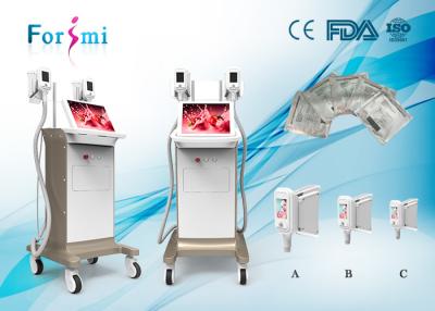 China cellulite treatment 1800 W Cryolipolysis Slimming Machine FMC-I Fat Freezing Machine for sale