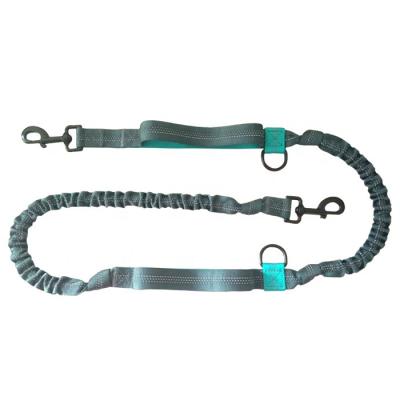 China Anti-Pull DETACHED Shock Absorbing Leash With Traffic Control Handle Premium Bungee Dog Leash for sale