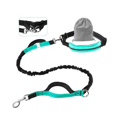 China Perfect Control DETACHED Retractable Operating Hands Release Thoughtful Nylon Pet Bungee Adjustable Leash for sale