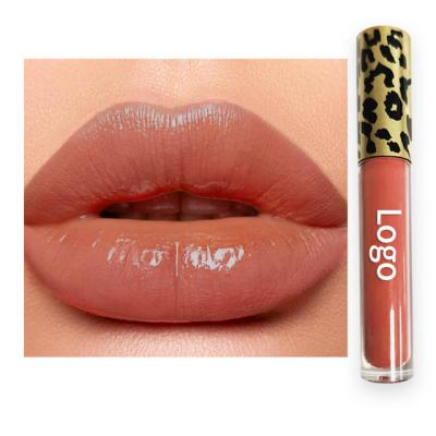 China Vegan Nude Dropping Clear Shiny Matte Lip Gloss Private Label Waterproof Custom Liquid Pigment Lipgloss for sale