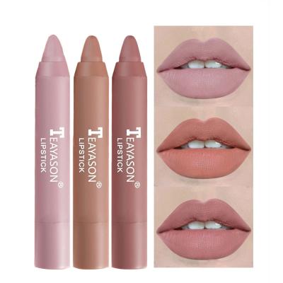 China Hot Selling Waterproof Vegan Matte Velvet Lipstick Pencil Set Lips Beauty Makeup Multi Color Private Label Lady's for sale