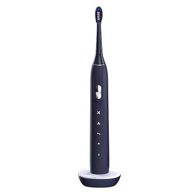 China Sunwinon K024-y1 Electric Toothbrush 4 Battery Powered Block Sound Wave Maglev Toothbrush Waterproof Toothbrush for sale