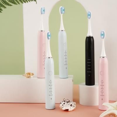 China Type-c Electric Toothbrush Waterproof Electric Toothbrush Sunwinon K025-m1 Toothbrush IPX7 for sale