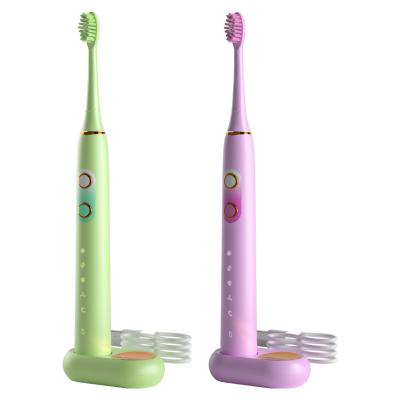 China Sunwinon K024-y2 Battery Powered Toothbrush Electric Toothbrush 1100mah Ipx7waterproof Electric Toothbrush for sale