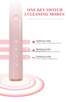 China Sunwinon K024-y3 Electric Toothbrush Battery Powered Automatic Electric Toothbrush Three Modes Smart Whitening Toothbrush for sale