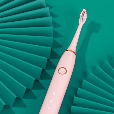 China Sunwinon K024-y3 Head Sonic Electric Toothbrush For Adult Battery Operated Automatic Toothbrush Sonic Toothbrush Oral Care Replacement for sale