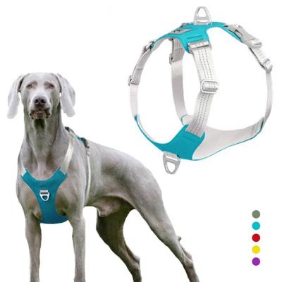 China Customized Suitable for Small, Medium and Large Dog Adjustable Thoughtful Nylon Chest Strap Personalized Dog Harness for sale