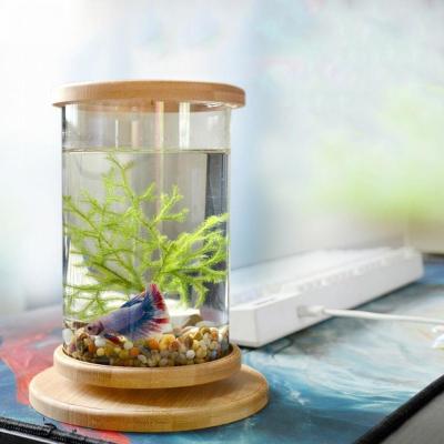 China Viable Creative Desktop Aquarium For Small Eco Fish Bottle Desktop Ornament Micro Vision Cylinder Cylindrical Spinning Round Aquarium for sale