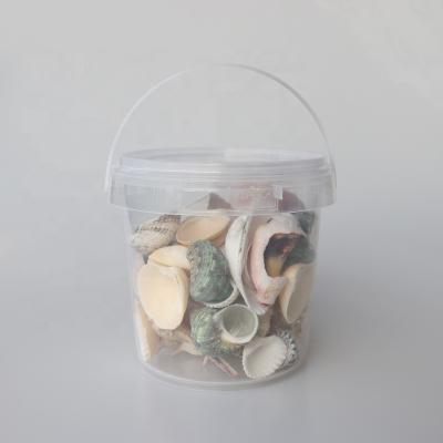 China Wholesale Nautical Mixed Shell Natural Shell &Conch Home Decoration Aquarium Landscaping Wedding Jewelry Photography Props for sale