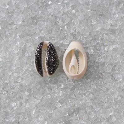 China Jewelry using 2 colors natural cowrie shell beads for DIY jewelry accessories for sale