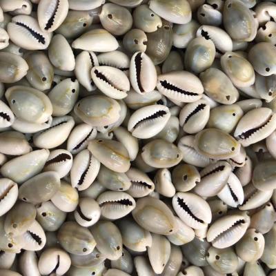 China Jewelry Using 6 Style Single Hole Natural Cowrie Beads Natural Shell Cowrie Tribal Jewelery Craft Accessories DIY for sale