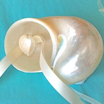 China Shell Custom Handmade Large Pearl Turbo Shell with Ribbons Ring Bearer Natural Shell Beach Wedding for sale