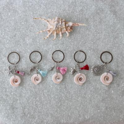 China Wholesale Metal Shell Key Chain Natural Shell &Conch Shell Crafts Home Decoration and Gifts Tourism Souvenirs for sale