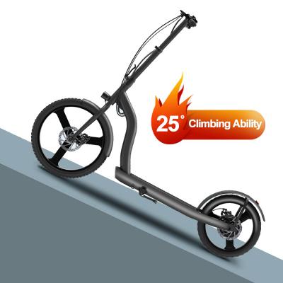 China Big Wheel 30KM/H Unisex Electric Scooter China E Kick Scooter for sale