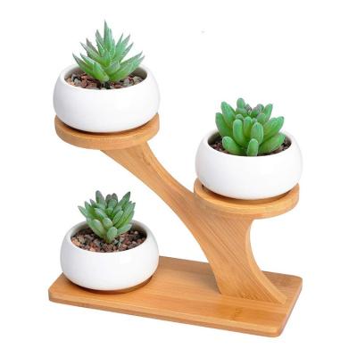 China Lightweight Cute Flower Rock Bamboo Modern Flower Stand Fine Quality Popular Suitable Prices for sale