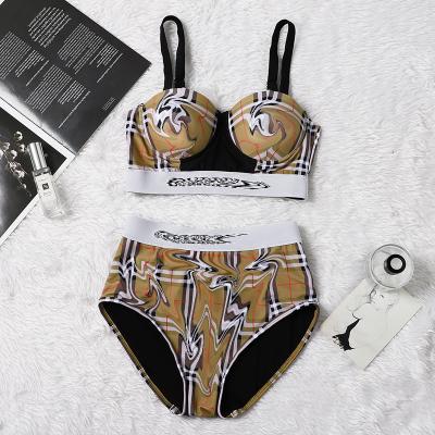 China Supplier high quality one piece famous designer swimwear brand bikini non-toxic fast shipping luxury swimwear for sale