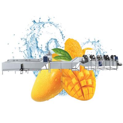 China Industrial Good Quality Snacks Factory Fresh Vegetable Fruits Cleaning Drying Processing Machinery Dried Dates Washing Machine For Sale for sale