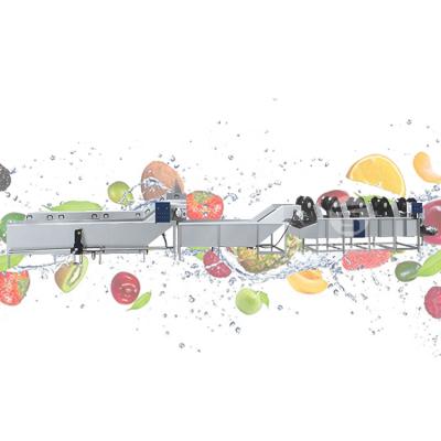 China 500kg/h stainless steel bubble fruit vegetable machine/fruit washing machine cleaning line from snack factory china factory for sale