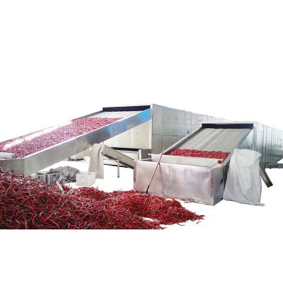 China High Efficiency Low Cost High Efficiency and Cleaning Energy Drying Machine Secador De Tunel Continuo for Chili Powder for sale