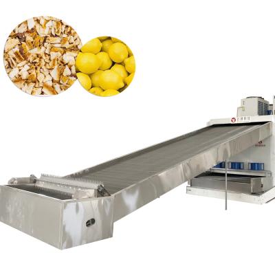 China Food Processing Shouchuang 2021 OEM/ODM Large Capacity Mesh Belt Dryer Industrial Continuous Drying Equipment for Lemon Peel for sale