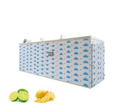 China High efficiency low cost three in one heat producer with heat pump+solar+electricity lemon fruit and food drying machine dried fruit drier equipment for sale