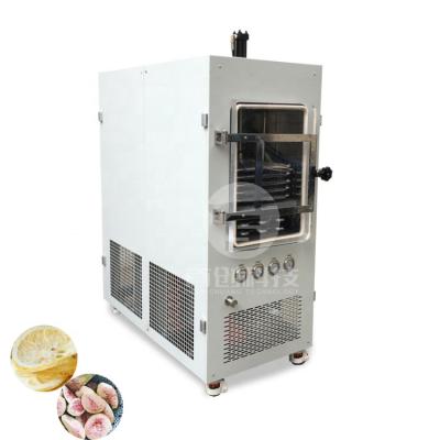 China Industrial Pharmaceutical Food Processing Freeze Dryer Raisins And Figs / Freeze Dryer Vacuum Freeze Drying Equipment With CE Certification for sale