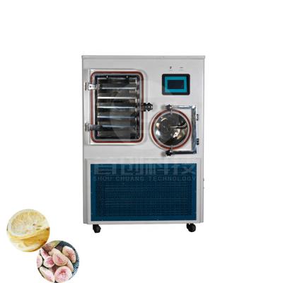 China Food Processing Freeze Dryer Machine /mini Freeze Dryer Industrial Freeze Dryer Small Mini Home Laboratory Vacuum Food 1Kg-10Kg for sale