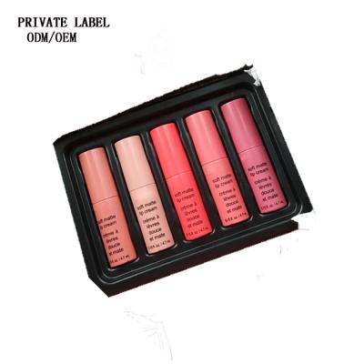 China Waterproof Beauty Glazed 5 Colors Nude Velvet Waterproof Matte Liquid Lipstick Set And Lip Gloss Set for sale