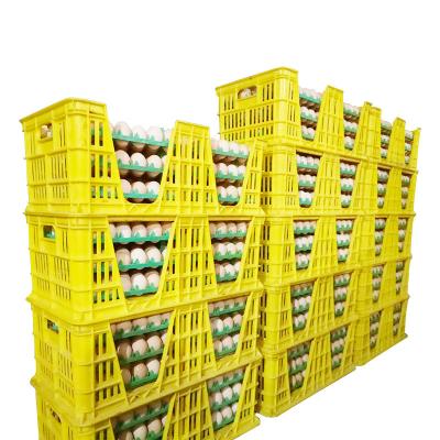 China Mesh Storage Egg Baskets Chicken Egg Carrier Crate for sale