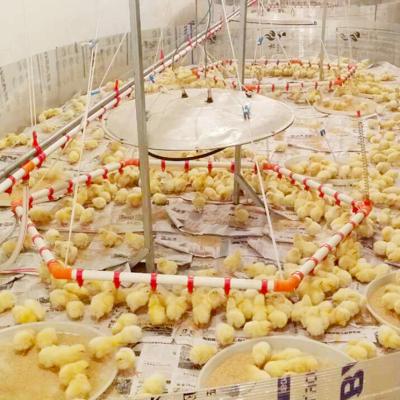 China Location Free Range Poultry Farm Easily Install / Economy For Sale Farm Poultry To Equip Poultry Drinking Systems for sale