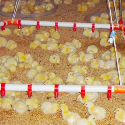 China High Sensitivity Water Saving Chicken Nipple System Chicken Drinking System Feeding And Drinking Drinking System for sale