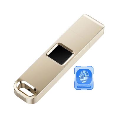 China Promotion\Business\School\Office etc. Customized Fingerprint Stick 32gb 64gb 128gb 256gb USB Flash Drive USB3.0 Flash Drive for sale