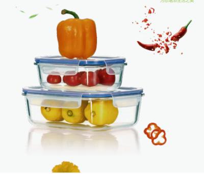 China Sustainable Reusable Glass Food Boxes Fresh Preservation /food Storage Containers With Lids for sale