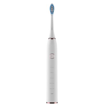 China 2 Minute Timer Sonic Toothbrush 50160 VPM USB Rechargeable Electric Toothbrush For Family Use for sale