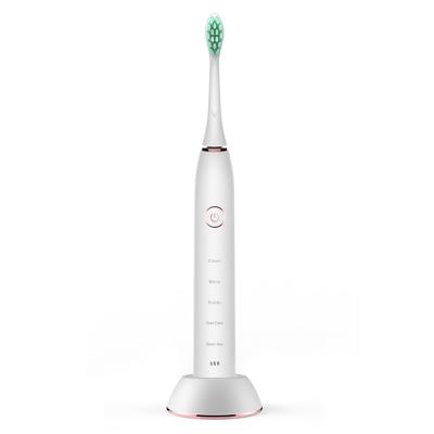 China Teeth Cleaning New Sonic Heads Electric Tooth Brush Professional Portable Electronic Soft White USB Automatic Toothbrush Pink for sale