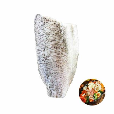 China Vitamins Quality Product Frozen Barramundi Fish Bandeau For Frying Pan Cooking for sale