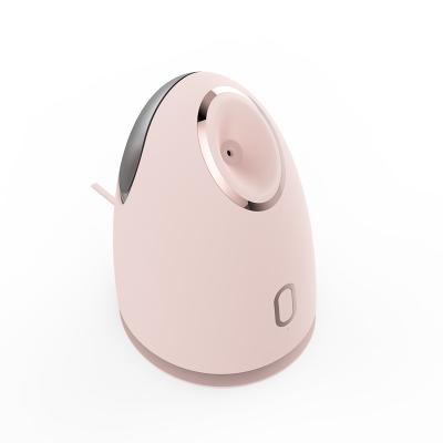 China New Style Personal DEEP CLEANSING and Mini Household Hot and Cold Nano Facial Steamer for sale