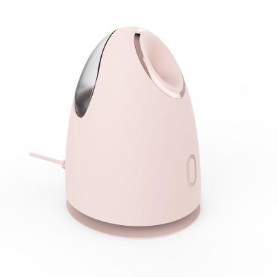 China Hot Nano Ionic Face Humidifier Household DEEP CLEANING Mist Warm Steamer Deeply Peel Moisture Sauna Facial Steamer for sale