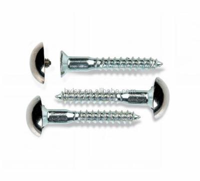 China Customized Different Sizes Half Round And Flat Head Decorative Screw For Mirror for sale