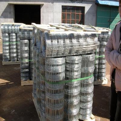 China Easily assembled galvanized knotted fence for sale